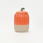 Pumpkin Jar-Orange
