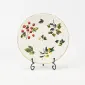 Woodland Orchard Plate-1