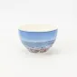 Seaside Holiday Bowl