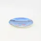 Blue Coast Plate-1