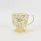 Romantic Garden Mug-Mimosa