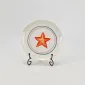 Coastal Star Plate