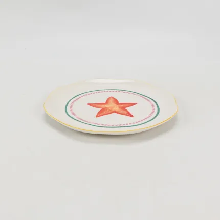 Coastal Star Plate