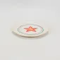 Coastal Star Plate