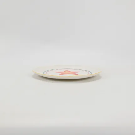Coastal Star Plate