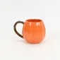 Autumn Pumpkin Mug