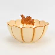 Cozy Autumn Pumpkin Bowl-2