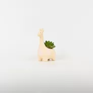 Giraffe Succulent Ornament