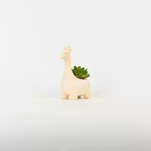 Giraffe Succulent Ornament