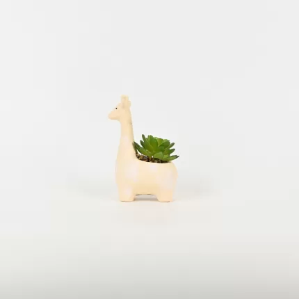 Giraffe Succulent Ornament
