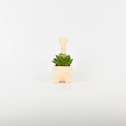 Giraffe Succulent Ornament