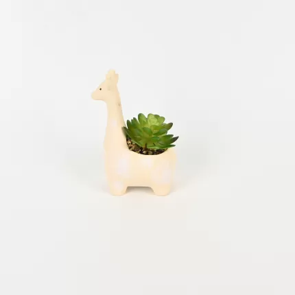 Giraffe Succulent Ornament