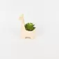 Giraffe Succulent Ornament