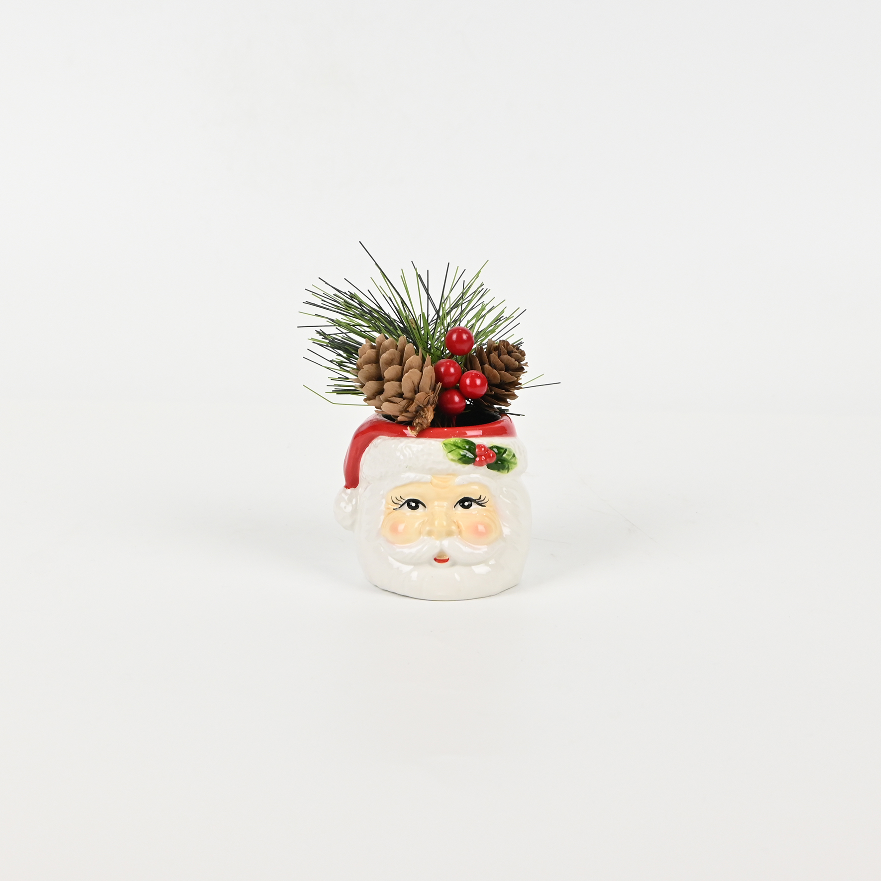 Santa Claus Plant Ornament