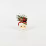 Santa Claus Plant Ornament