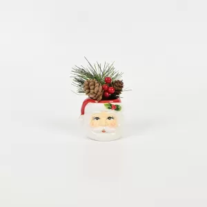 Santa Claus Plant Ornament