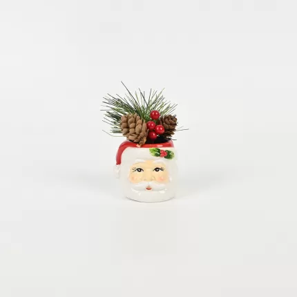 Santa Claus Plant Ornament