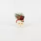 Santa Claus Plant Ornament