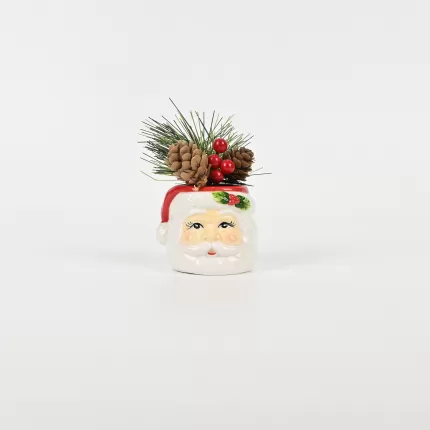 Santa Claus Plant Ornament