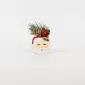 Santa Claus Plant Ornament
