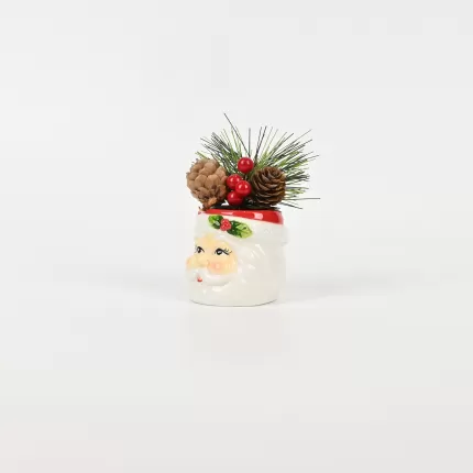 Santa Claus Plant Ornament