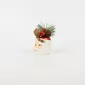 Santa Claus Plant Ornament