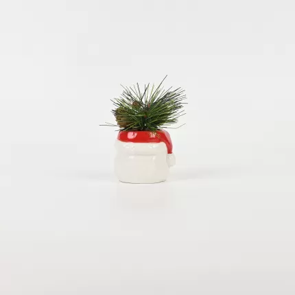 Santa Claus Plant Ornament