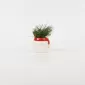Santa Claus Plant Ornament