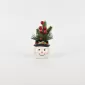 Christmas Snowman Plant Ornament
