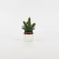 Christmas Snowman Plant Ornament