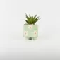 Small Flower Plant Ornament