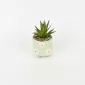 Small Flower Plant Ornament