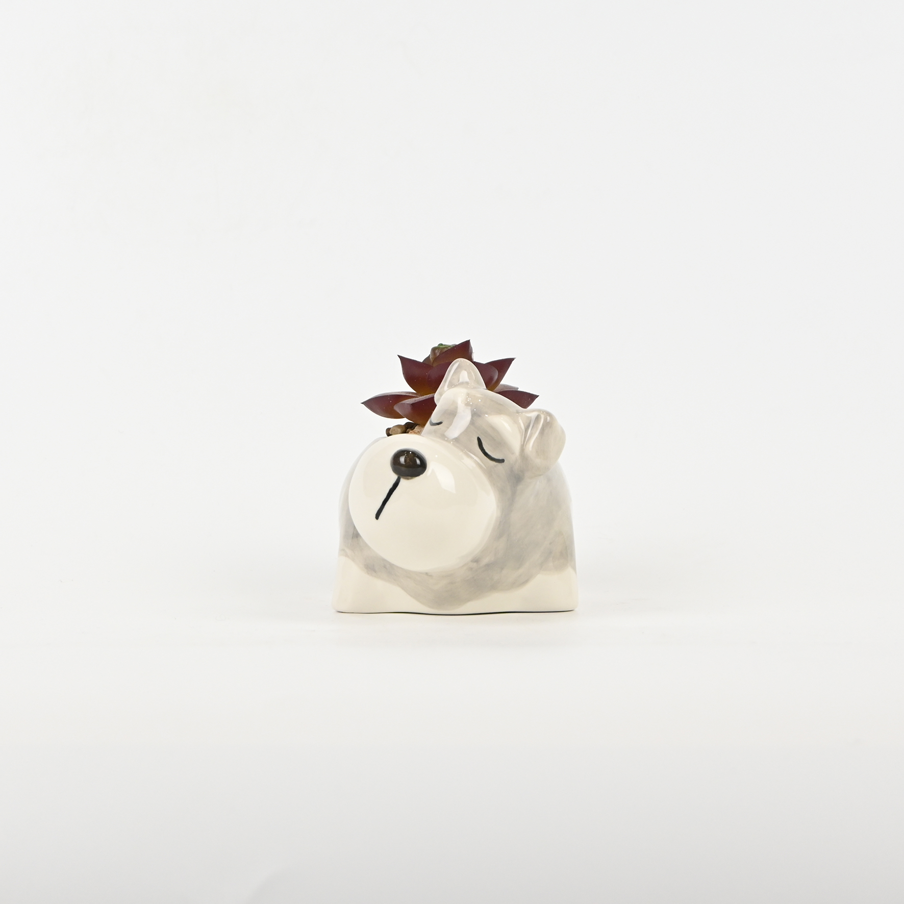 Cute Dog Succulent Ornament