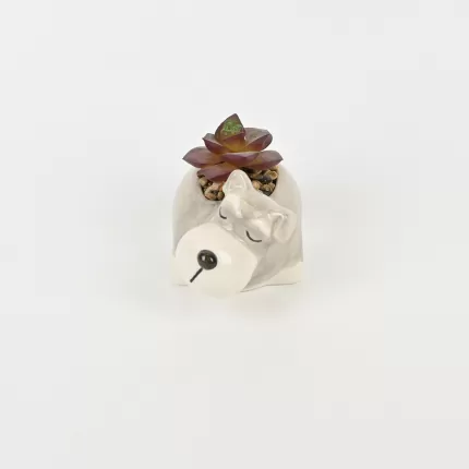 Cute Dog Succulent Ornament