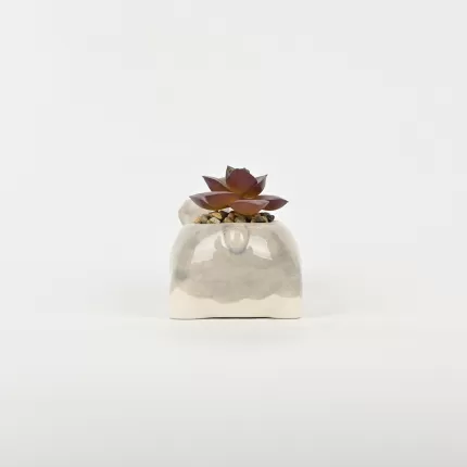 Cute Dog Succulent Ornament