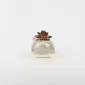 Cute Dog Succulent Ornament