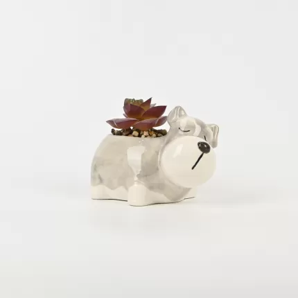 Cute Dog Succulent Ornament