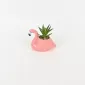 Flamingo Plant Ornament