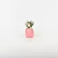 Flamingo Plant Ornament