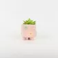 Small Flower Succulent Ornament