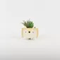 Cute Pet Plant Ornament