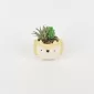 Cute Pet Plant Ornament