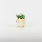 Cute Pet Plant Ornament