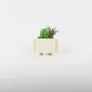 Cute Pet Plant Ornament