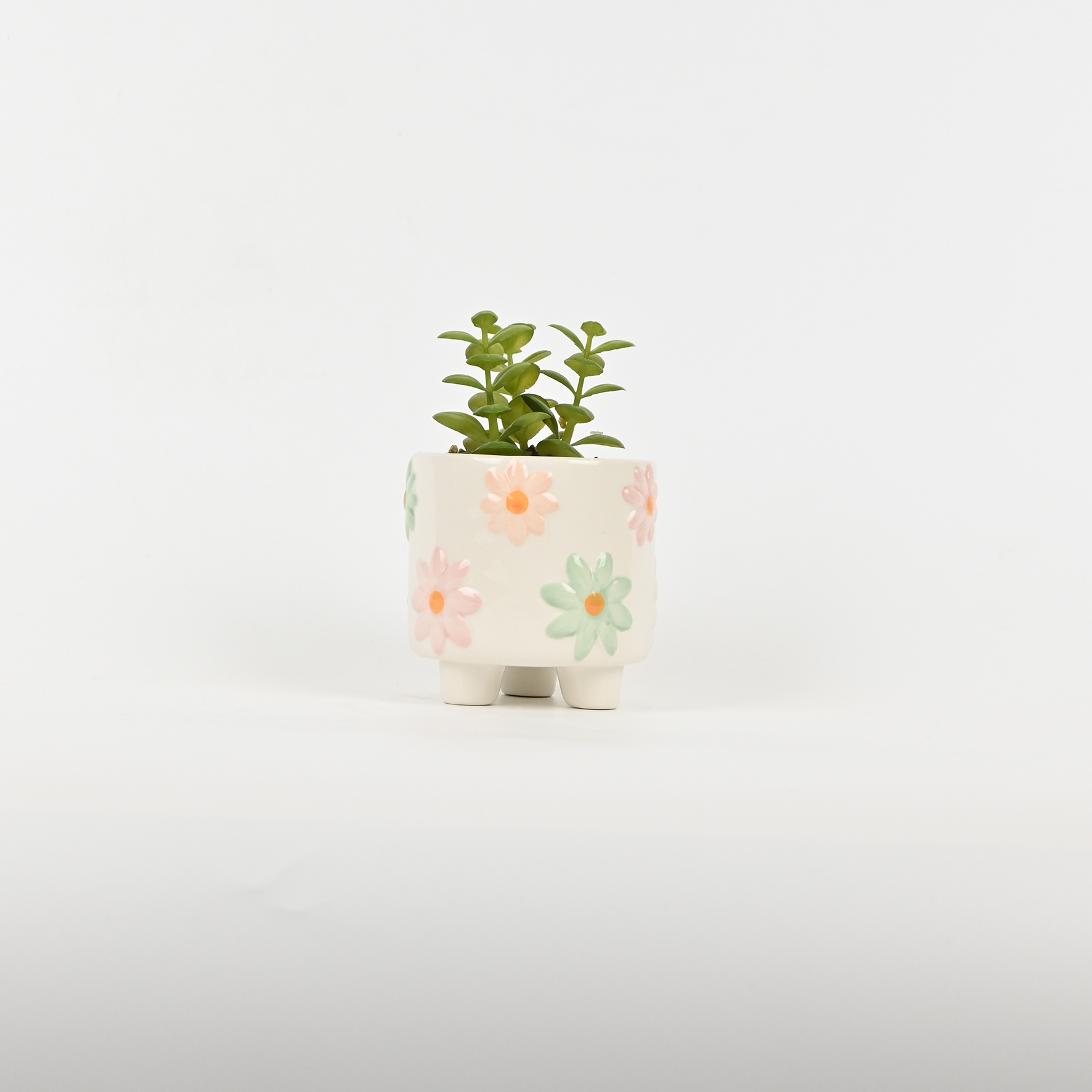 Small Flower Plant Ornament