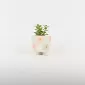 Small Flower Plant Ornament
