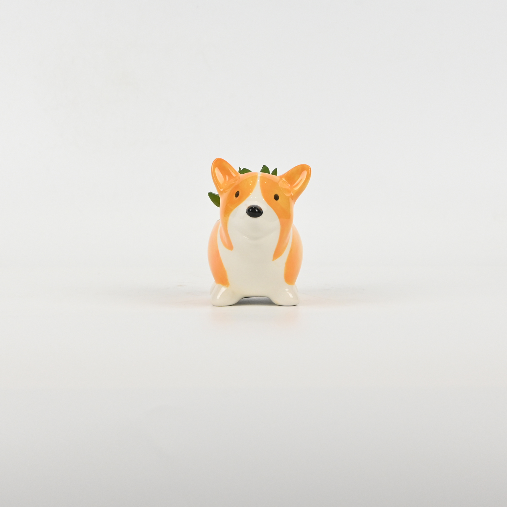 Cute Dog Succulent Ornament