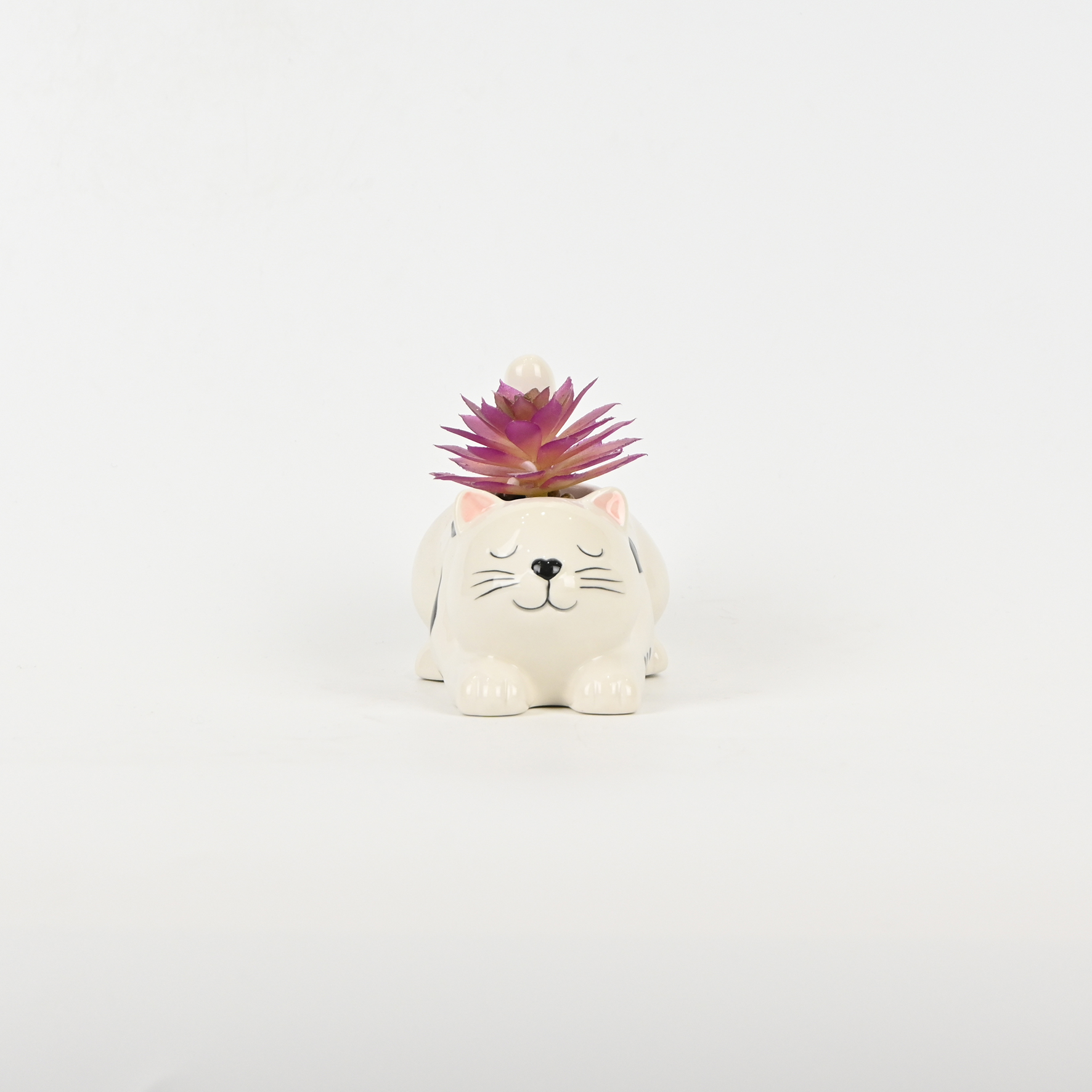 Cute Cat Succulent Ornament