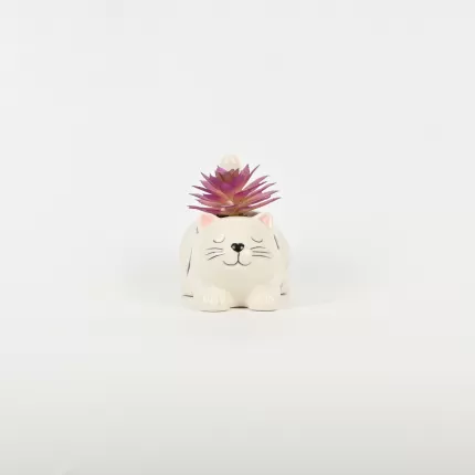 Cute Cat Succulent Ornament