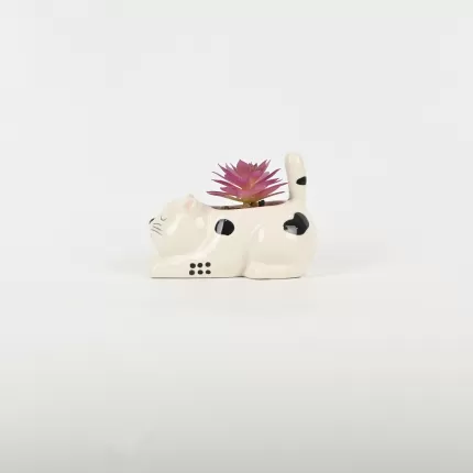 Cute Cat Succulent Ornament
